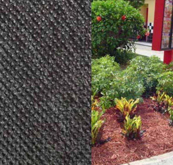 Artificial Grass Weeds & Pests Protection, Orange County