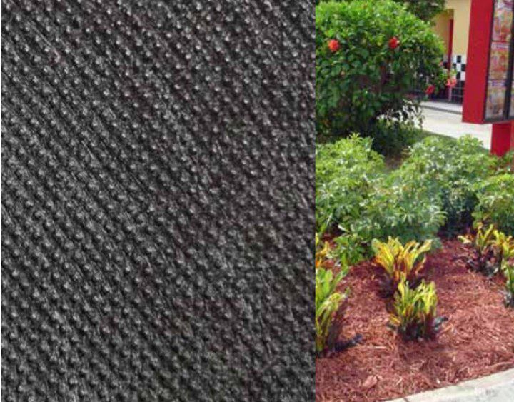 Artificial Grass Weeds & Pests Protection, Orange County