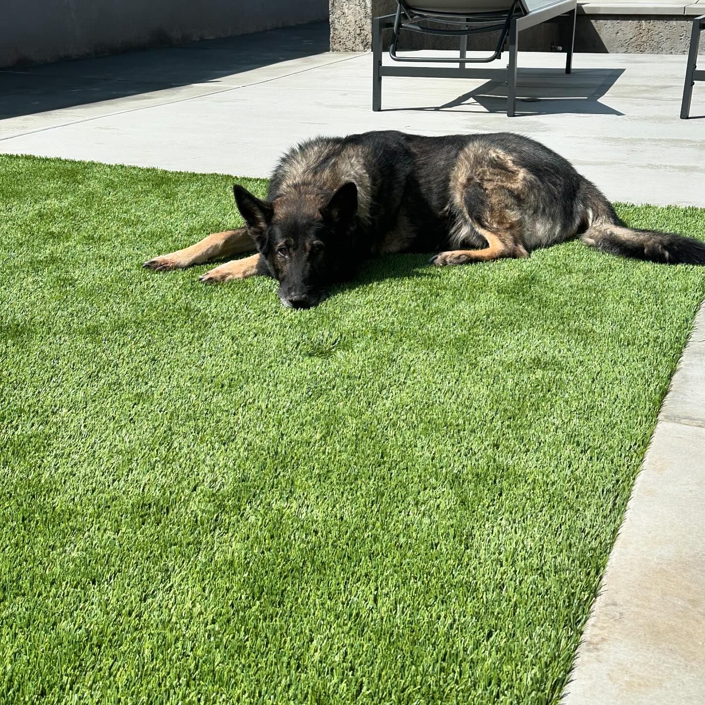 Artificial Turf Landscapes, Orange County Artificial Grass & Pavers